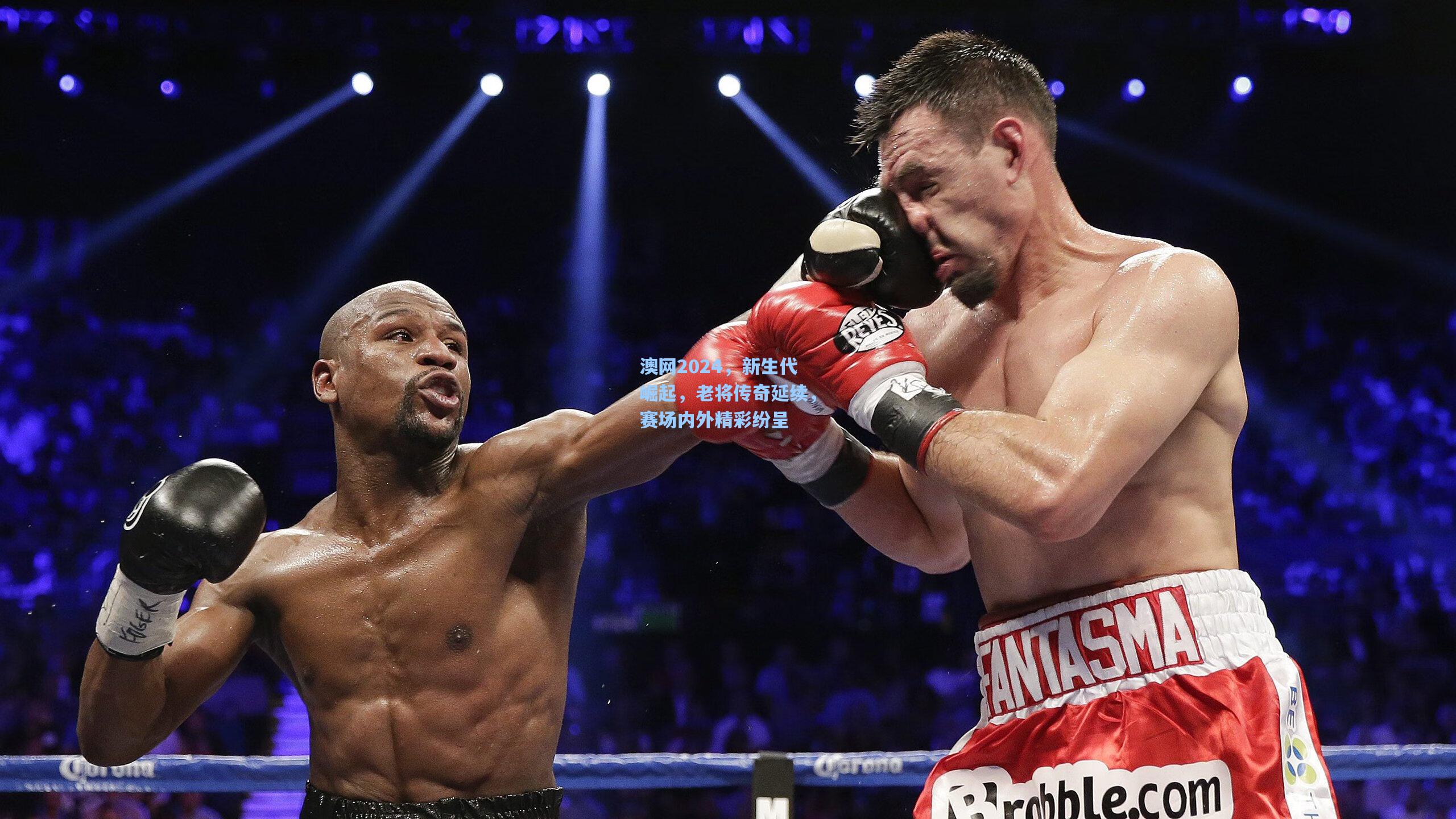 澳网2024,新生代崛起,老将传奇延续,赛场内外精彩纷呈