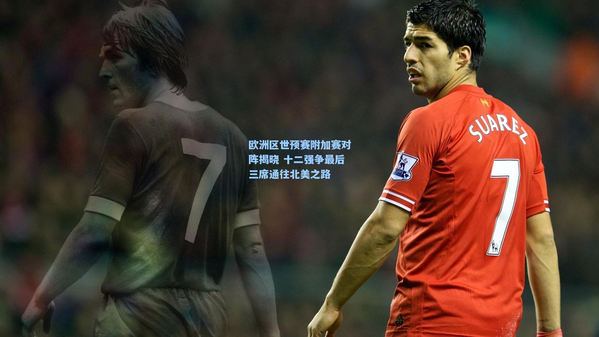 欧洲区世预赛附加赛对阵揭晓 十二强争最后三席通往北美之路